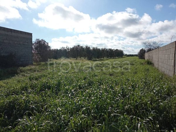 terreno agricolo in vendita a Nardò in zona Villaggio Resta