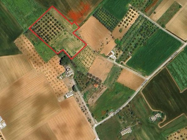 terreno agricolo in vendita a Nardò in zona Cenate