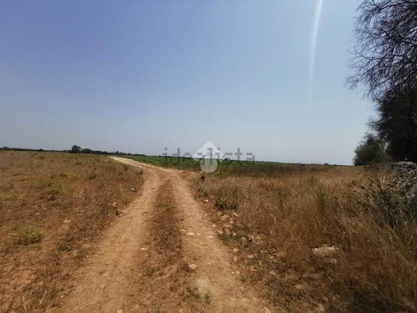 terreno agricolo in vendita a Nardò