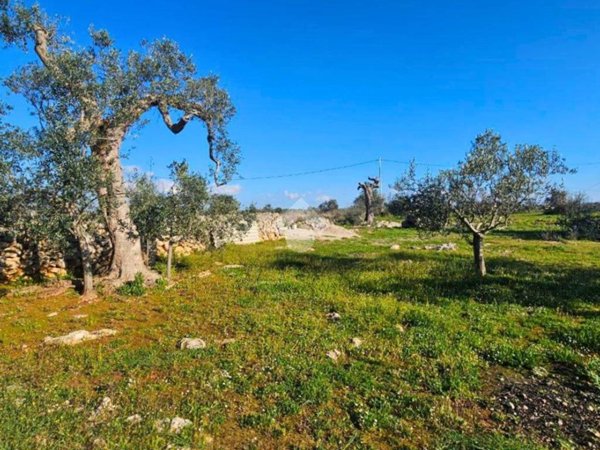 terreno agricolo in vendita a Nardò in zona Sant'Isidoro