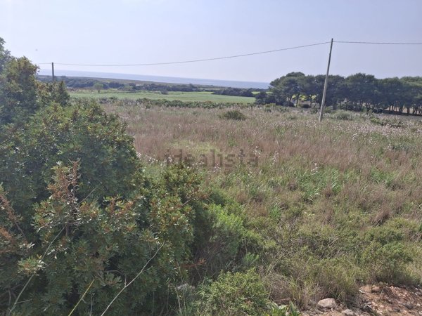terreno agricolo in vendita a Nardò in zona Sant'Isidoro