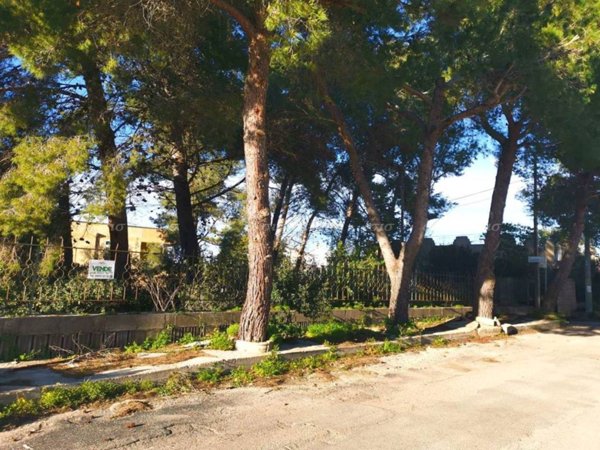 casa indipendente in vendita a Nardò in zona Santa Caterina