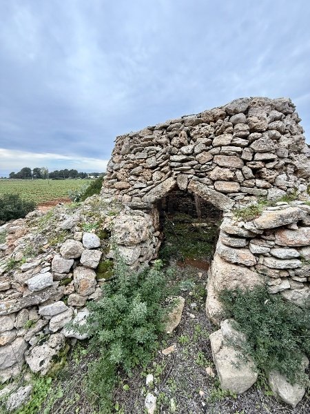 casa indipendente in vendita a Nardò