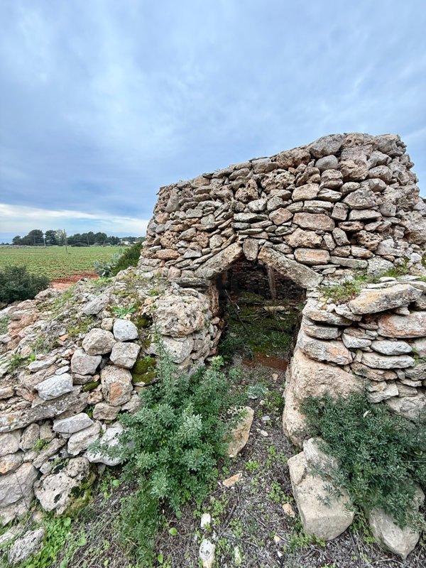 casa indipendente in vendita a Nardò