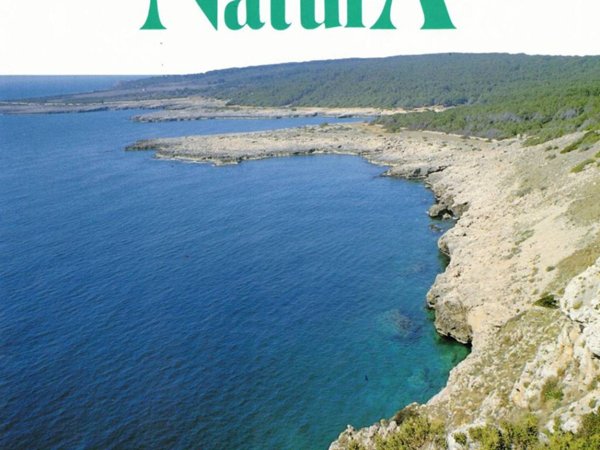 appartamento in vendita a Nardò