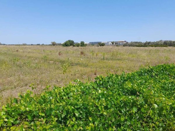 terreno agricolo in vendita a Nardò