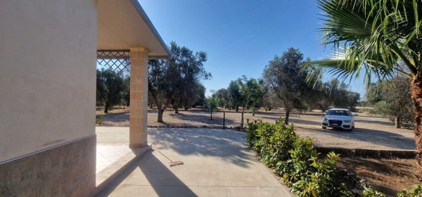 pentavano in vendita a Nardò