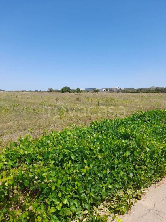 terreno agricolo in vendita a Nardò