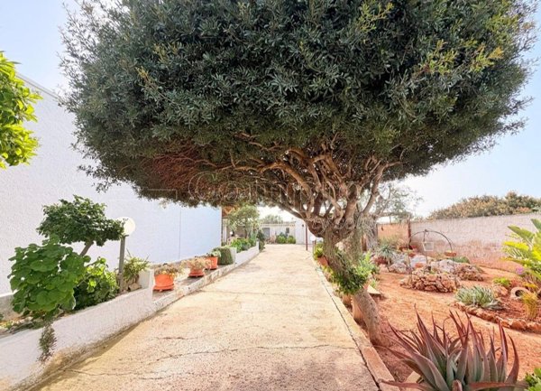 casa indipendente in vendita a Nardò