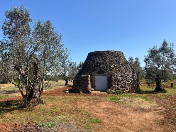 appartamento in vendita a Nardò