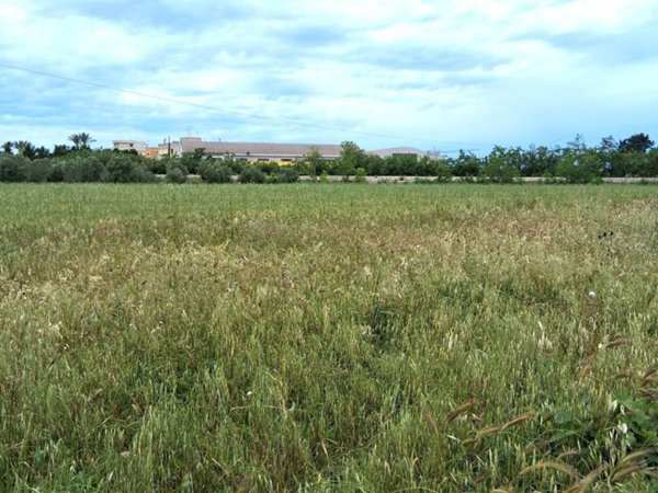 terreno edificabile in vendita a Nardò in zona Santa Caterina