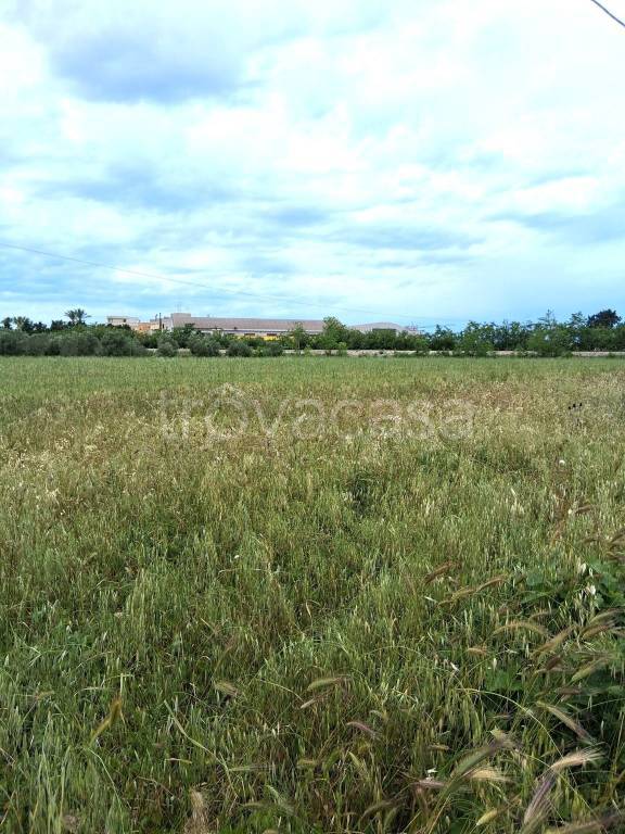 terreno agricolo in vendita a Nardò in zona Santa Maria al Bagno