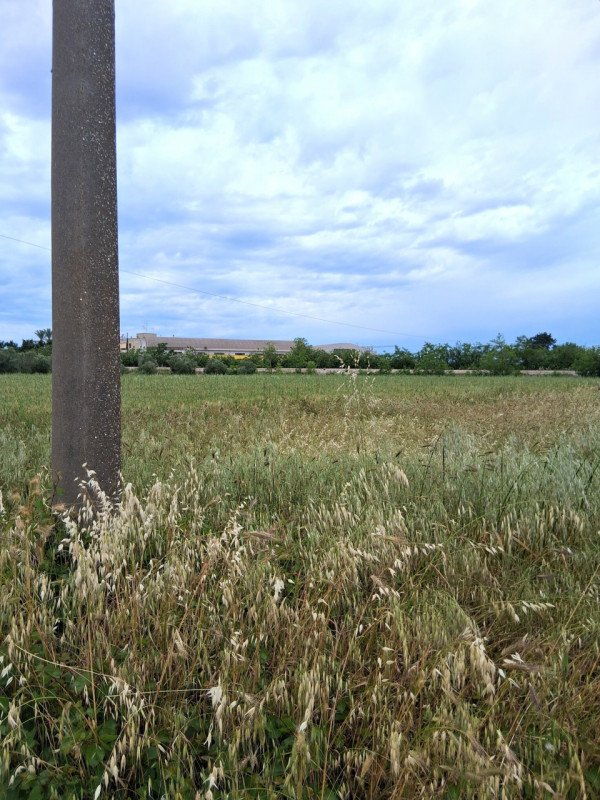 terreno edificabile in vendita a Nardò in zona Santa Maria al Bagno