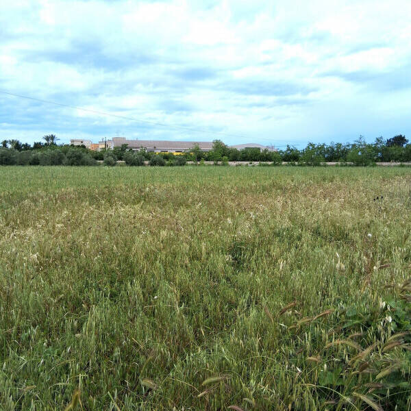 terreno edificabile in vendita a Nardò in zona Santa Maria al Bagno
