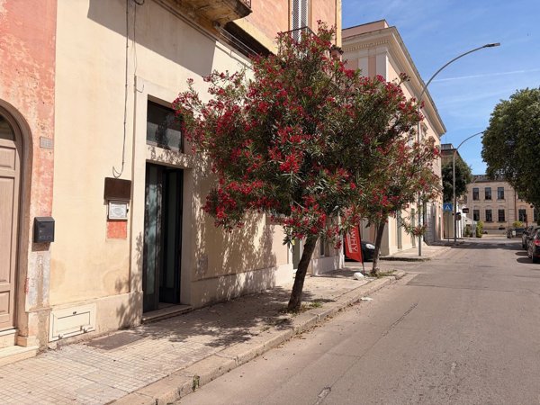 appartamento in vendita a Nardò