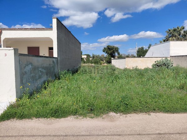 terreno agricolo in vendita a Nardò