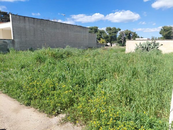 terreno agricolo in vendita a Nardò
