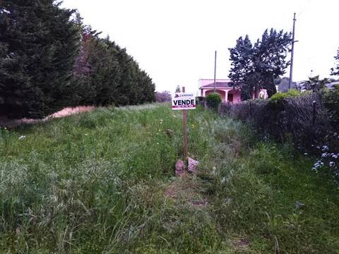 terreno agricolo in vendita a Nardò in zona Santa Caterina