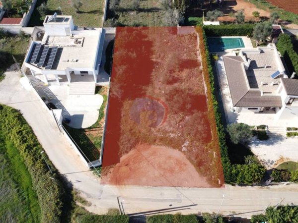 terreno agricolo in vendita a Nardò in zona Santa Caterina