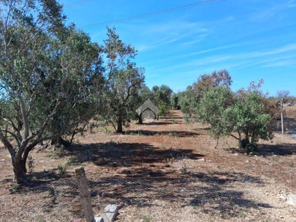 terreno agricolo in vendita a Nardò in zona Villaggio Resta