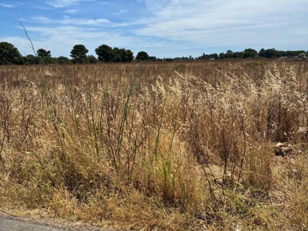 terreno agricolo in vendita a Nardò in zona Villaggio Resta