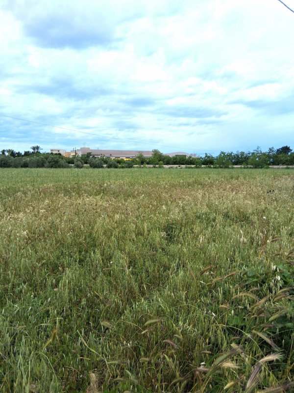 terreno edificabile in vendita a Nardò in zona Villaggio Resta