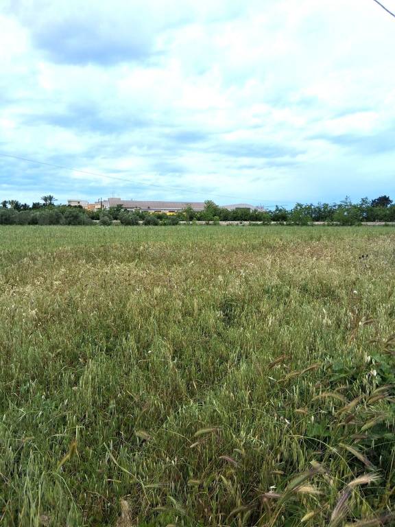 terreno edificabile in vendita a Nardò in zona Villaggio Resta