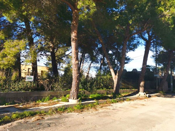 terreno agricolo in vendita a Nardò in zona Santa Maria al Bagno