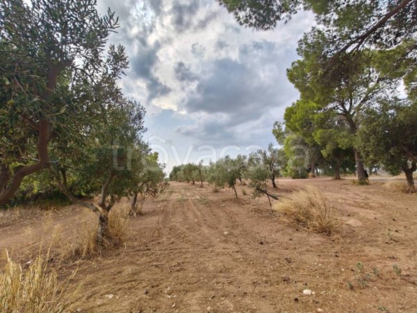 terreno agricolo in vendita a Nardò