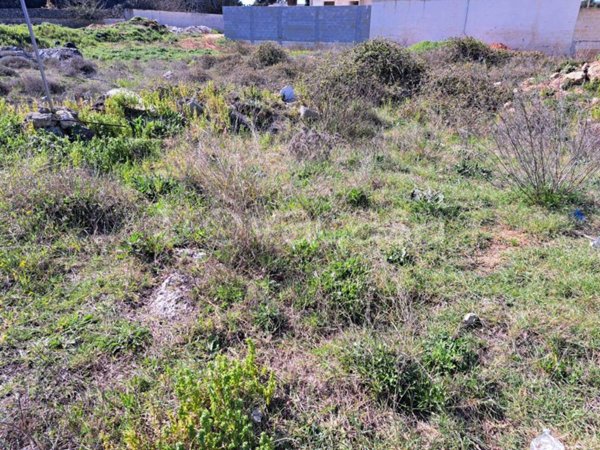 terreno in vendita a Nardò