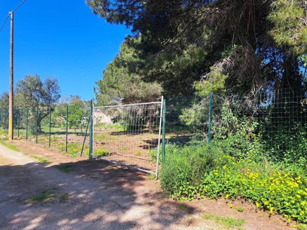 terreno in vendita a Nardò