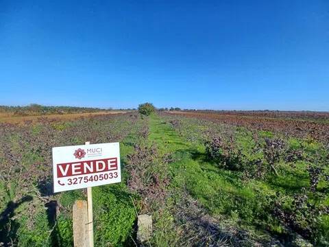 terreno in vendita a Nardò in zona Villaggio Resta