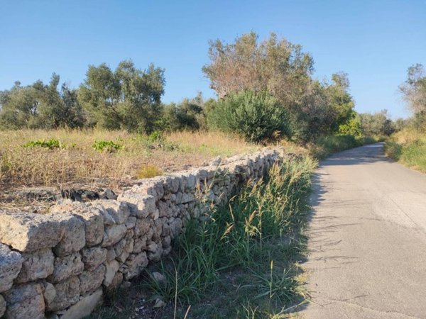 terreno agricolo in vendita a Neviano
