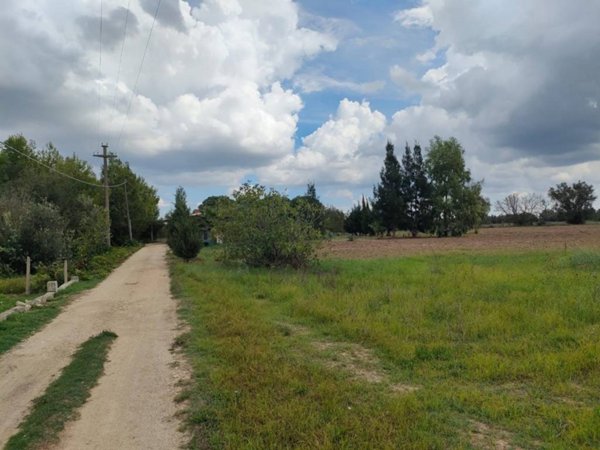 terreno agricolo in vendita a Neviano