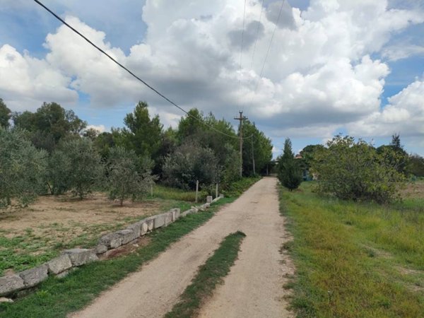 terreno agricolo in vendita a Neviano