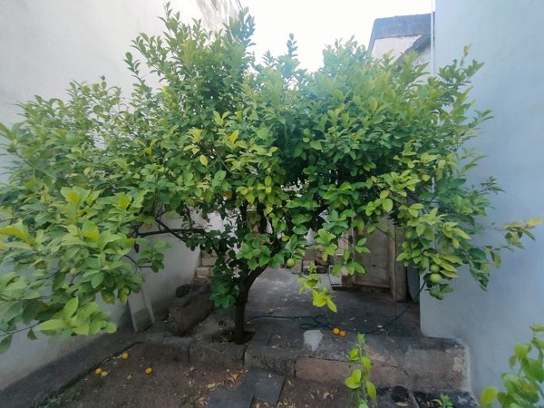 appartamento in vendita a Neviano