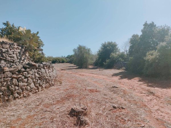 terreno agricolo in vendita a Neviano