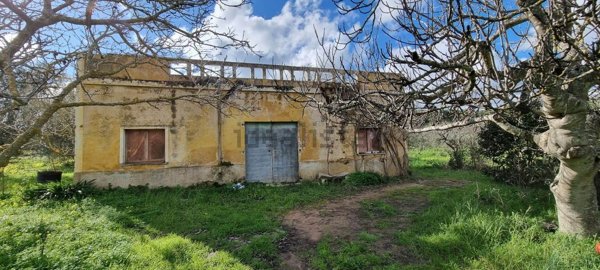 casa indipendente in vendita a Neviano