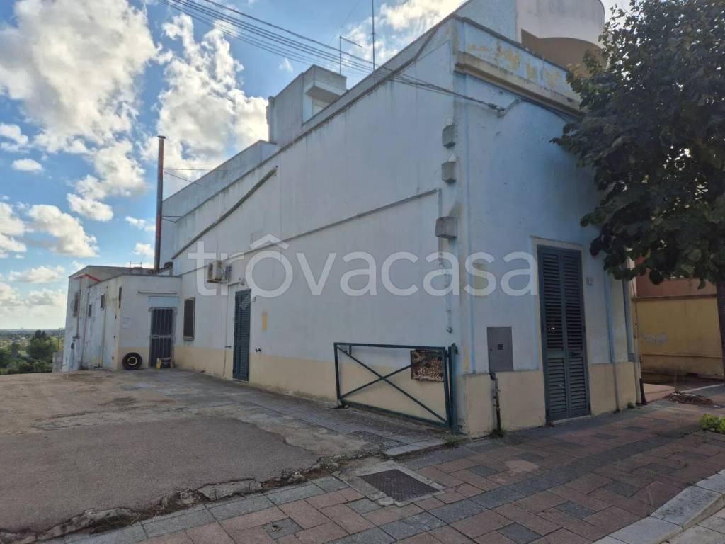 casa indipendente in vendita a Neviano