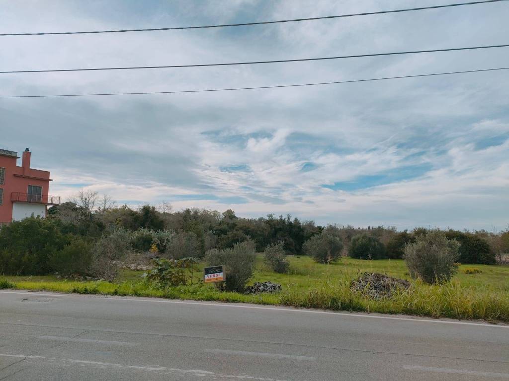 terreno agricolo in vendita a Neviano