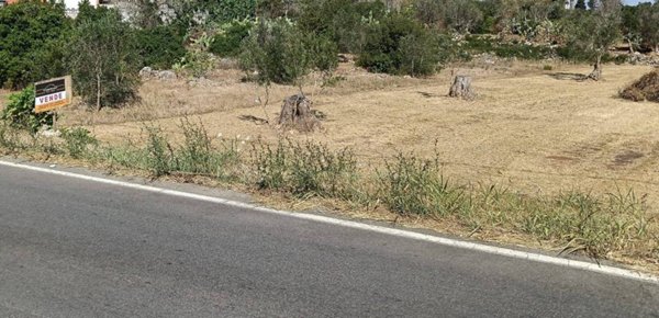 terreno agricolo in vendita a Neviano