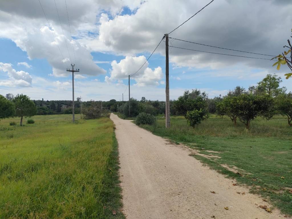terreno agricolo in vendita a Neviano
