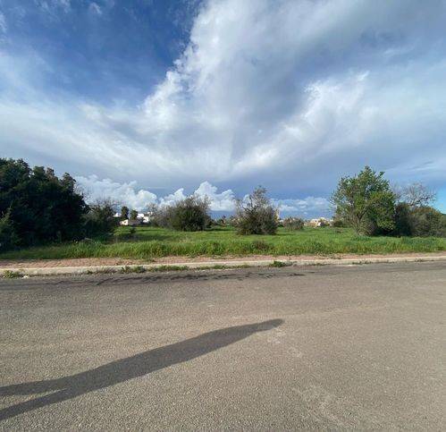 terreno agricolo in vendita a Neviano