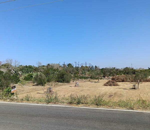 terreno agricolo in vendita a Neviano