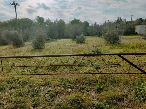 terreno agricolo in vendita a Neviano