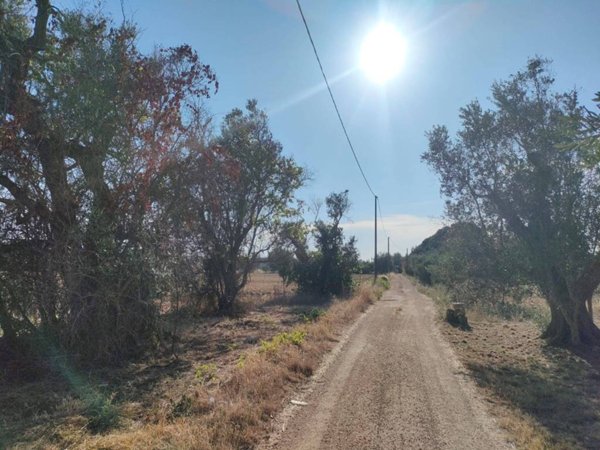 terreno agricolo in vendita a Neviano