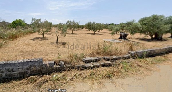 terreno agricolo in vendita a Neviano