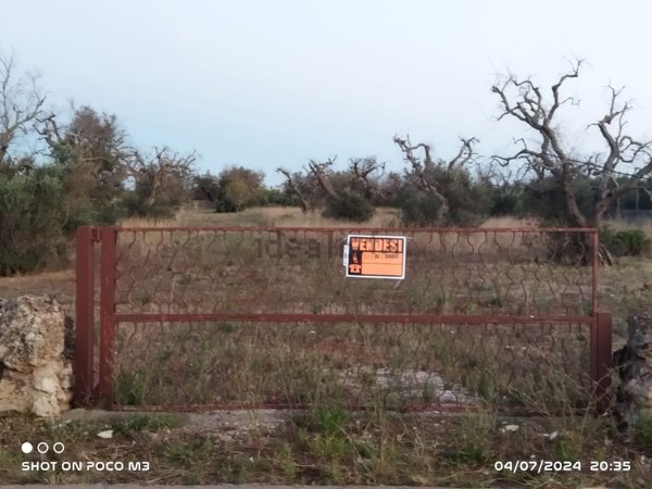 terreno agricolo in vendita a Neviano