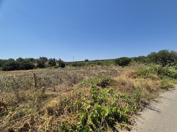terreno agricolo in vendita a Neviano