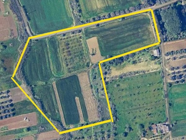 terreno agricolo in vendita a Neviano